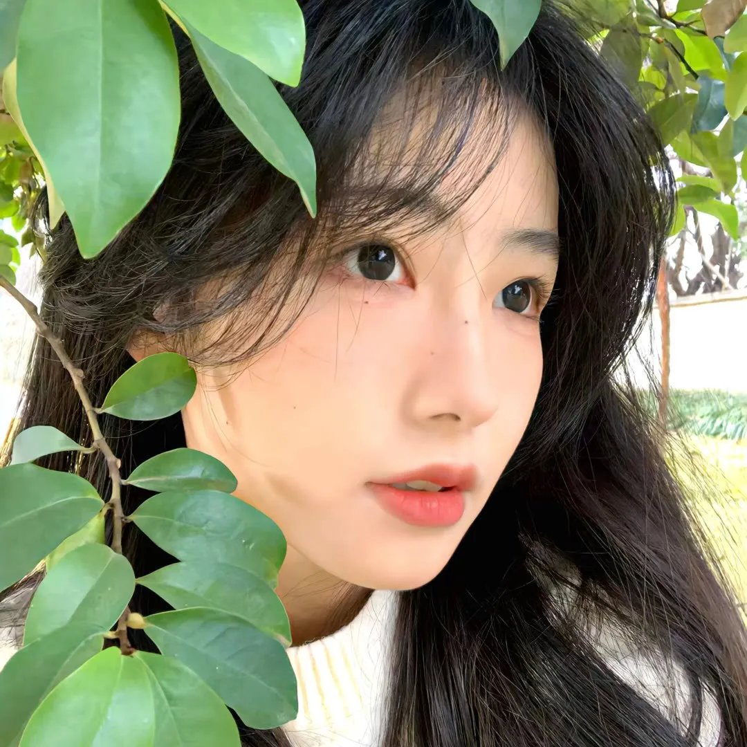 圣诞日记